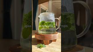 ease your stomach 🌿🫖 FRESH MINT TEA