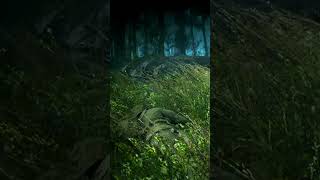 Master the Shadows: Ghost Recon Breakpoint Kika Stealth Action!