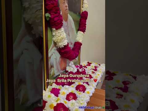 Gaura Purnima 🦚❤️#krishna #gaurnitai #youtube #shorts #love