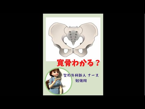 【寛骨って？！】整形外科新人ナース勉強応援！＃看護師#勉強