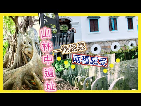 【探索新舊 牧場🐮遺址 】被活化；被隱藏於山林內的遺址； 高級職員宿舍、八角形牛房、 大水缸、 洗手間、焚化爐、牛屎湖、石槽及牛棚等遺址