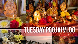 Tuesday vlog poojai routine/ #pepperrice #amazonproduct #fridgeorganizer