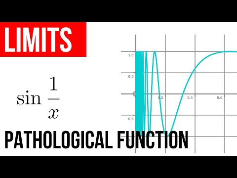 1.8 Limits pathological case sin(1/x)