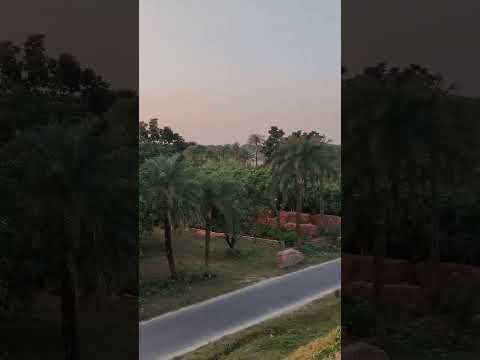 আসুন দেখে আসি আমাদের গ্রামের রাস্তা | আমগাছি বাজার -দুর্গাপুর. #rajshahi #minivlog #durgapur