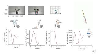 Snatch Weightlifting - Kinematics & Spinal Load Analysis