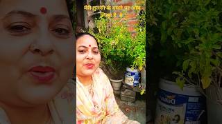 मेरी तुलसी के गमले पे ओम लिखा है 🙏♥️#तुलसी_विवाह #तुलसीगीत #poonamguptabhajans #trending #शॉर्ट