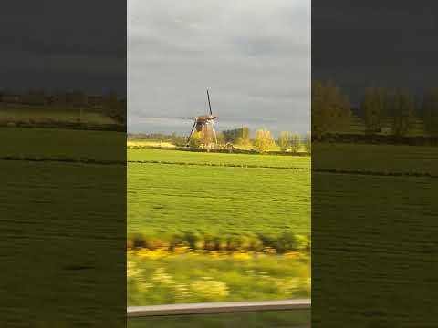 Amsterdam, High Speed Trains and Windmills. Only in the Netherlands.