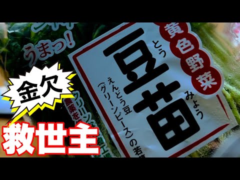 野菜が高いから救世主を紹介する