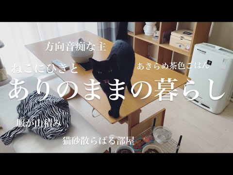 【1日密着】お掃除サボったからまとめてやるの巻