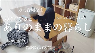 【1日密着】お掃除サボったからまとめてやるの巻