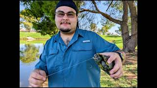 accidentally hooked a turtle