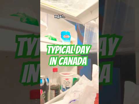 Day 🎬life in canada #trending #dailyvlog #india #nagercoil #paiyan #tea #coffee #funny #vlog #life