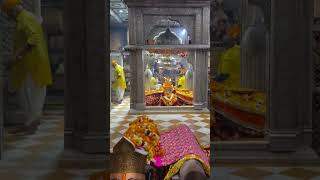 Ramdevra se live darshan #ramdevpir #ramapir #ramdevra #ramdevr #runicha #new #newvideo#status #song