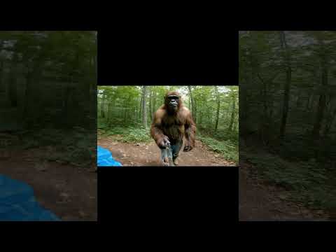 You can do anything you put your mind to #bigfoot #bigfootvlog #ai #home #achieveanything #wildlife