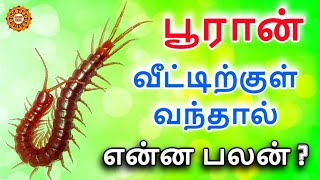 Pooran veetukul vanthal enna palan | பூரான் வீட்டுக்குள் வந்தால் என்ன பலன் | puran veetil vanthal