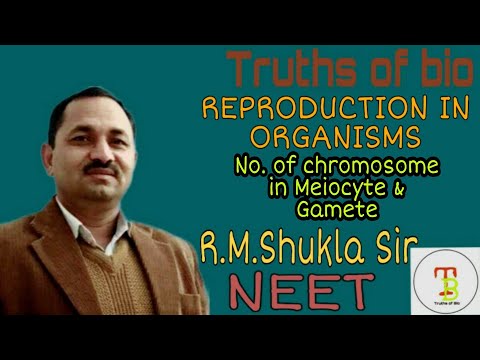No of chromosome in Meiocyte & Gametes ,Reproduction in organisms NEET By R.M.Shukla Sir