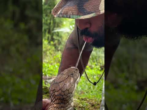 What’s happening here ? Wrong answers only 🐍 #kahani #animals #animation