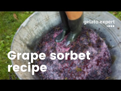 What a grape sorbet recipe!