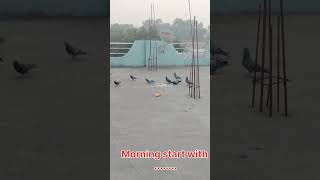 Morning starts with.....#viralvideo #minivlog #kartikmaskikahani #hinduism #hindufestival #youtube