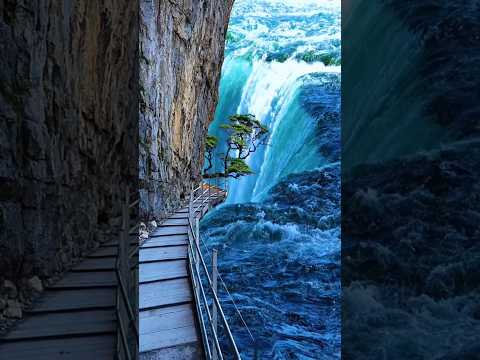 The Surprising Reason Niagara Falls is a MUST VISIT Destination! #trending #video #water #shorts