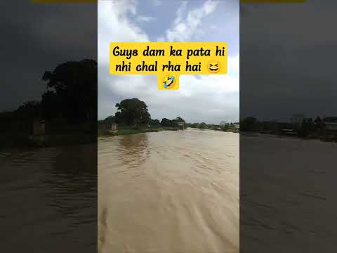 dam kaha hai 😆🤣Desi Kalakaar#statusSubscribe#yoyohoneysingh #honeysingh#shorts #ytshorts #viral