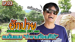 ฮักปาย เมืองเปลี่ยนชีวิต CEOนอท คนต้นแบบ “ทำงานที่ไหนก็ได้” l Vlog ปาย EP. 3/3