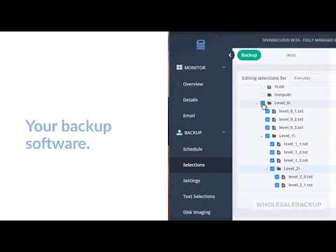 What is WholesaleBackup? (30 second overview)