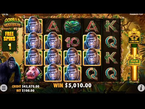 GORILLA MAYHEM BONUS PAID HUGE!! 😱😱 PRAGMATIC PLAY!! @SLOTKINGDOM