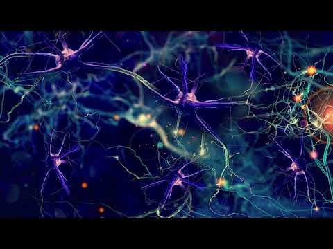 Nervous System Reset | 75 Hz Low Frequency Sound Healing | 15 Minute Pure Binaural Beats Relaxation