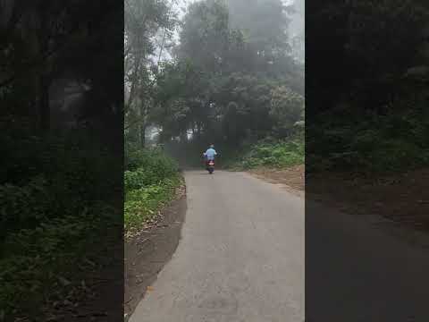 So many sights…So many sounds…So much divine beauty…. #nature #kerala #munnar #suryanelli #solotrip