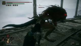 Leonine Misbegotten (normal enemy encounter) - Arcane Parry Dagger Build (Poison Miséricorde)