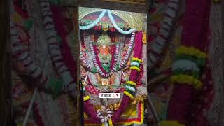 🙏🌺#jeenmata #jeenmataji #maiya #maa #mata #devi #sikar
