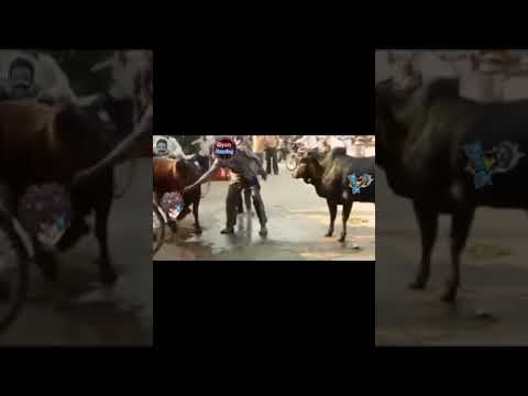 Raistar vs Rouk ff Funny video by  #gyangaming #gyanbhai #freefire #viral #shorts #GFF #vlog #roukff