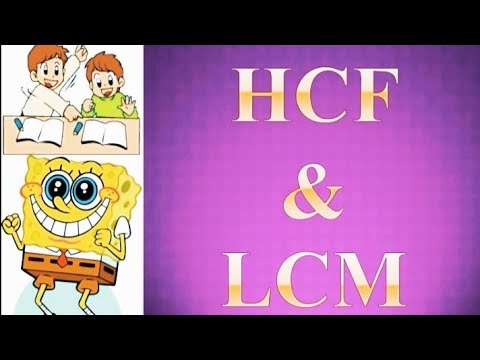 CHP 3/HCF and LCM/Practice set 13