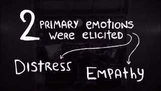 The Brain Science of Storytelling