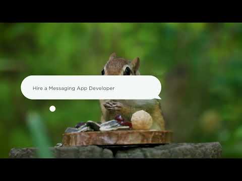 2026 Ready: Why Now’s the Time to Hire a Messaging App Developer for the Future