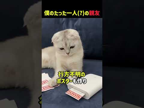 もうどこにも行かないでね
