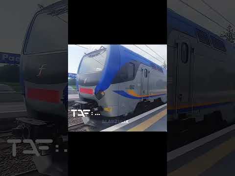 TAF 🔛🔝 #edit #trenitalia