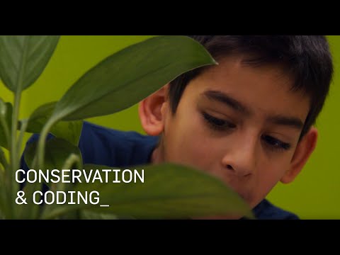 Coding and Conservation - Be Creative, Be Cool | Cypher Coders