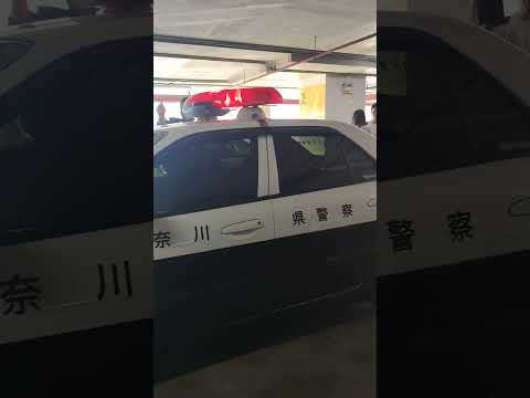 Police 4 doors Skyline R34