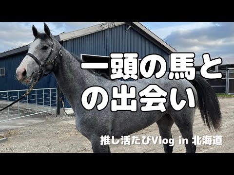 【推し活Vlog】 北海道 白馬との出会い　競走馬/競馬/大井競馬場