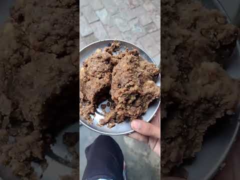 lapsy for Street dog 😊,lbe kind with street dogsl🙏🏻#haryanvivideos ,#gaamilifestyle