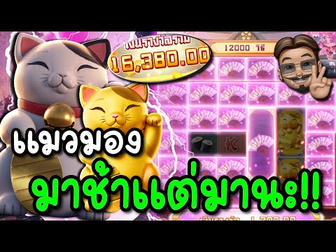 สล็อตPG : Lucky Neko | แมวทอง มาช้าแต่มานะ สล็อตแตกง่าย !!
