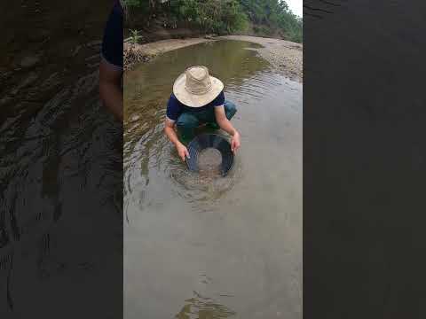 The Secret Way I Found Gold – Easy Gold Hunting Trick! #gold #camping #treasuresearch