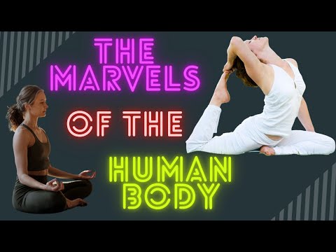 The marvel of the human body