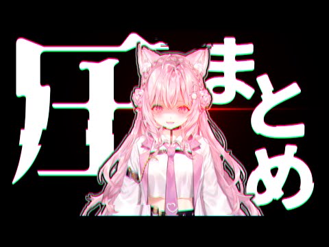 博衣こよりの圧まとめ【ホロライブ切り抜き/博衣こより】