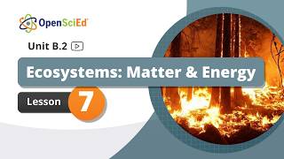 Unit B.2 Lesson 7 Planning Video | OpenSciEd On-Demand Resources