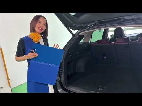 高級車販売店 美人ディーラー
