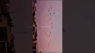 #cloudaesthetic #cloudscape #cloudysky #sky #bluesky #skyporn #skyline #husky #skylovers #instasky