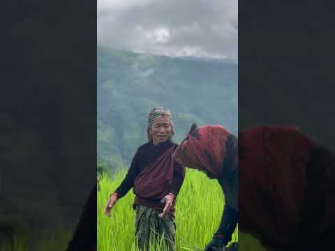 kam gardako ramailo geet